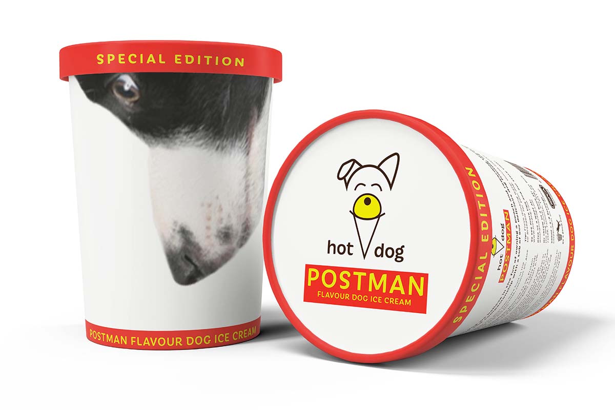 dog ice cream branding by melissa carne design