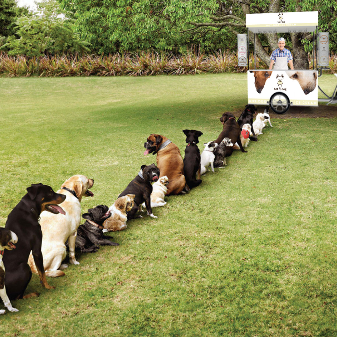 dog ice cream queue